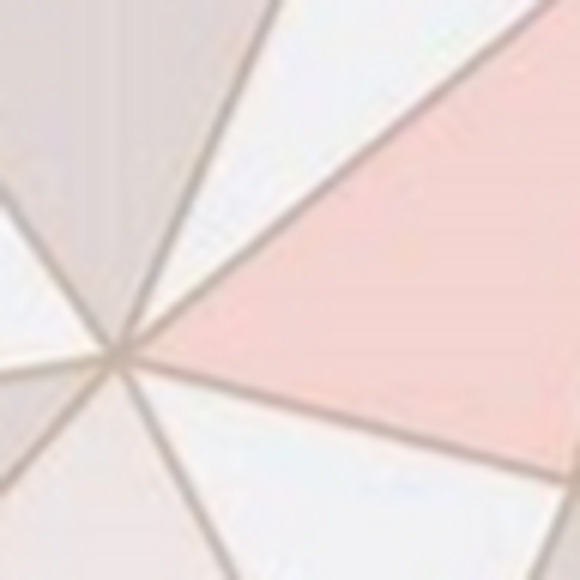 Meet your Posher, Olivia - Picture 1 of 1